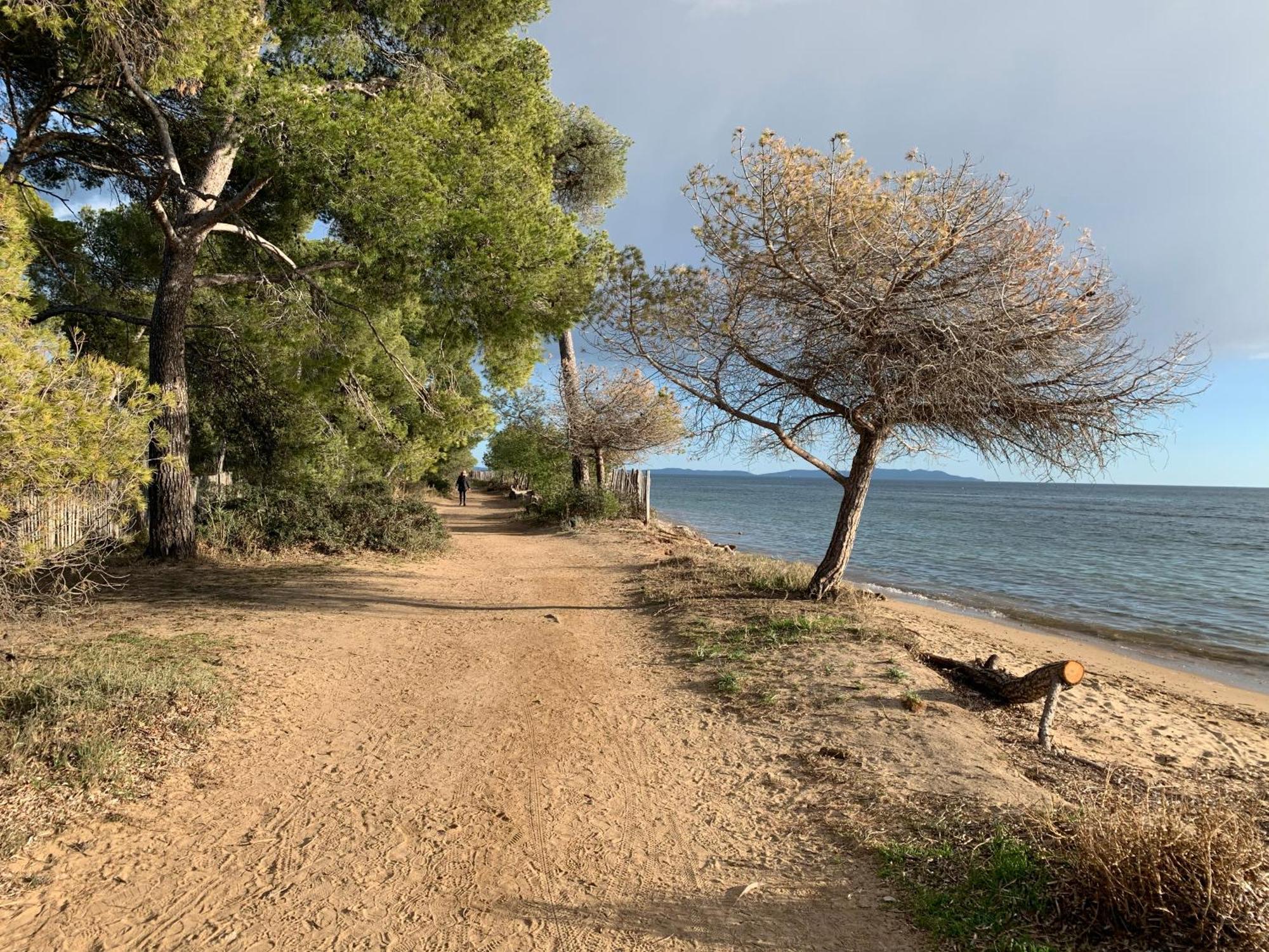 Joli Studio Tres Clair A Proximite Mer Pour 3 Personnes La Londe-les-Maures Exterior photo